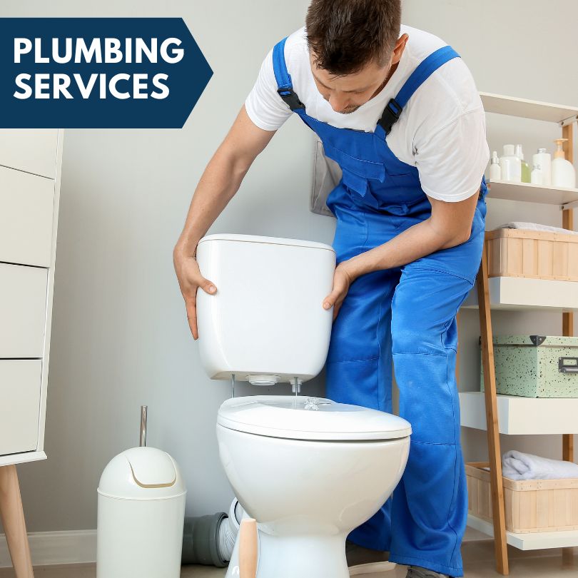 Plumbing Company in Delaplaine, AR